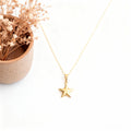 COLLAR + DIJE DE ESTRELLA | TEAM DORADO