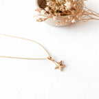 COLLAR + DIJE DE ESTRELLA | TEAM DORADO